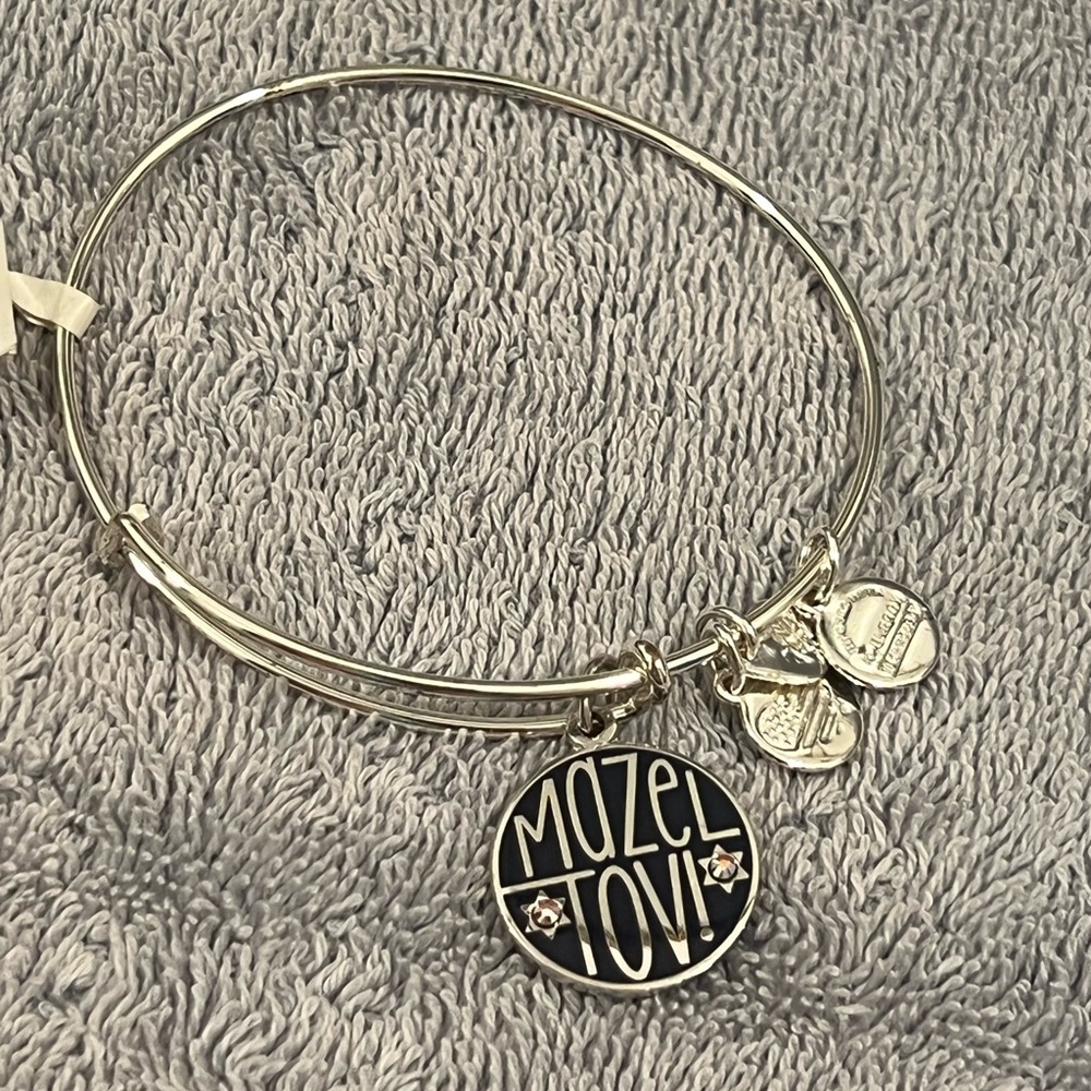Alex and Ani Mazel Tov charm bracelate - Picture 3 of 13